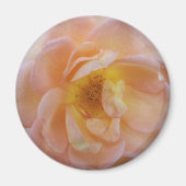 Farbige Rose Magnet (Vorne)