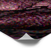 Farbige Rose Poster (Ecke)