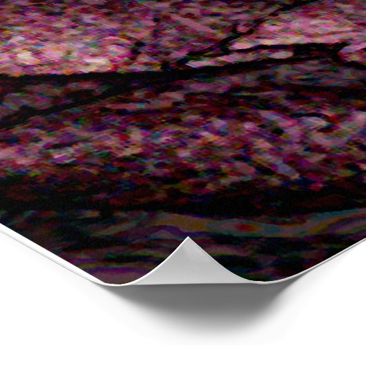 Farbige Rose Poster (Ecke)