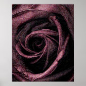 Farbige Rose Poster (Vorne)
