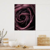 Farbige Rose Poster (Küche)