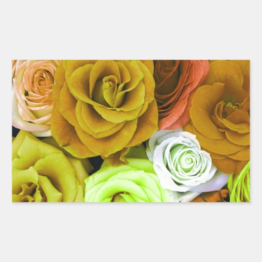 Farbige Rose Rechteckiger Aufkleber (Vorderseite)