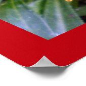 Farbige Rot-Gelbe Blume Foto Poster (Ecke)