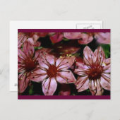 Farbige rote Blume Postkarte (Vorne/Hinten)