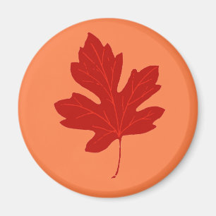 Farbige rote Herbstleaf-Magnet Magnet