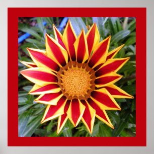 Farbige rote und gelbe Blumenfoto-Poster Poster