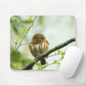 Farbige Sauerkuhuhe, die auf einem Baumzweig steht Mousepad (Mit Mouse)
