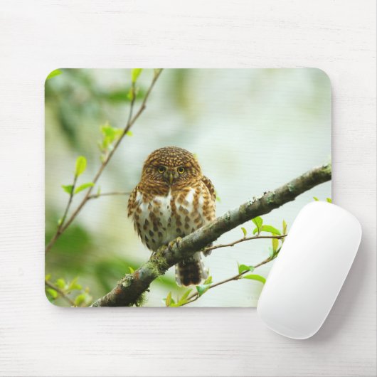 Farbige Sauerkuhuhe, die auf einem Baumzweig steht Mousepad (Mit Mouse)