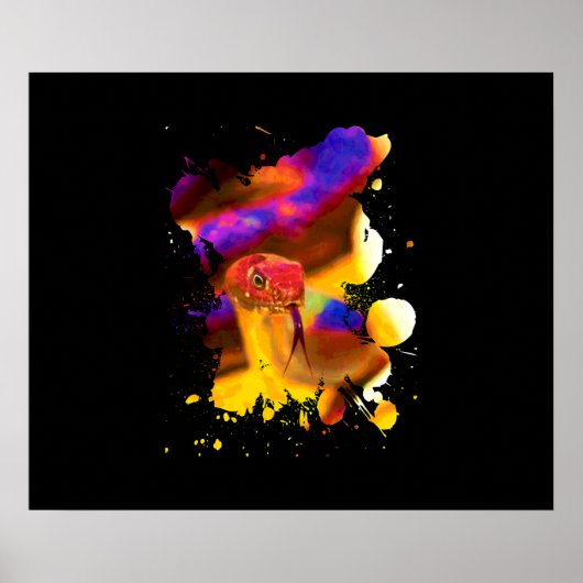 Farbige Schlange Poster (Vorne)