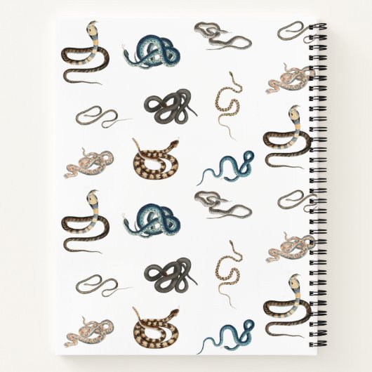 Farbige Schlangen Reptile Tiermuster Monogramm Notizblock (Rückseite)