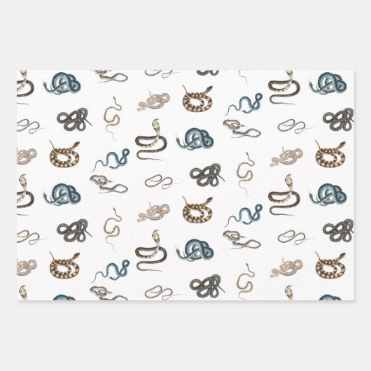 Farbige Schlangen Reptilienmuster Geschenkpapier Set (Vorderseite 3)