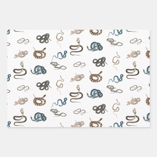 Farbige Schlangen Reptilienmuster Geschenkpapier Set (Vorderseite 2)