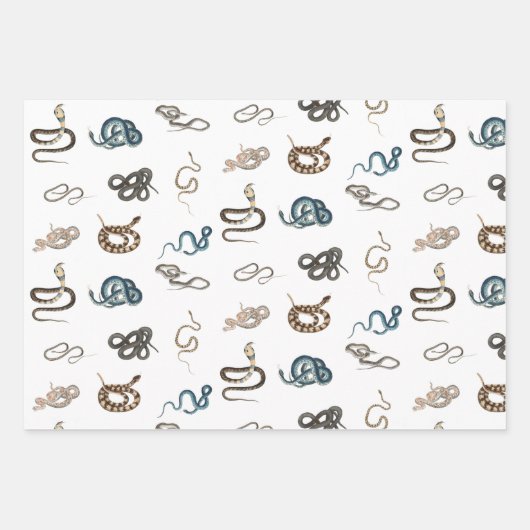 Farbige Schlangen Reptilienmuster Geschenkpapier Set (Vorderseite)