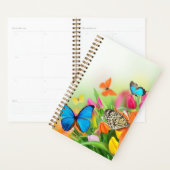 Farbige Schmetterlinge, kleiner Planner Planer (Anzeige)