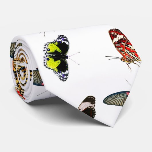Farbige Schmetterlinge Krawatte (Gerollt)