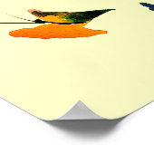 Farbige Schmetterlinge Poster (Ecke)