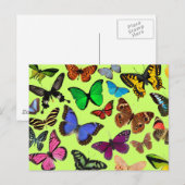 Farbige Schmetterlinge Postkarte (Vorne/Hinten)