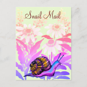 farbige Schnecke Postkarte