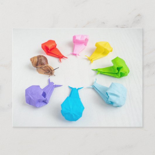 Farbige Schnecken Postkarte (Vorderseite)