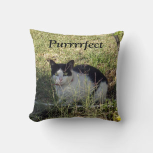 Farbige schwarze und weiße Katze, Kissen