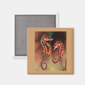 Farbige Seepferde Magnet (Vorderseite/Rückseite)