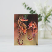 Farbige Seepferde Postkarte (Stehend Vorderseite)