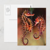 Farbige Seepferde Postkarte (Vorne/Hinten)
