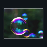Farbige Seifenblasen Flocken Postkarte<br><div class="desc">Farbenfrohe Seifenblasen schweben. Reflektion in Blase ist ein Wald. frontiernow.com</div>