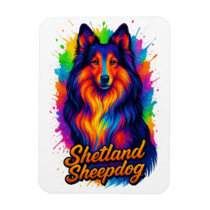 Farbige Shetland Sheepdog Pop-Art-Illustration Magnet