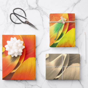 Farbige Sorte Tulip Petal Foto Jedem Anlass  Geschenkpapier Set