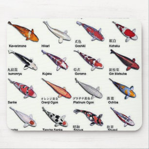 Farbige Sorten Koi Fisch Nishikigoi Zeichnend Mousepad
