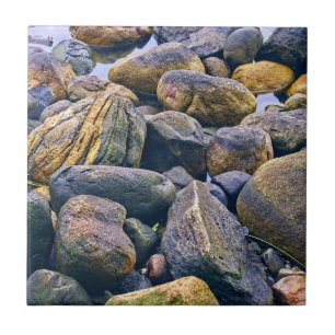 Farbige Steine    Fliese