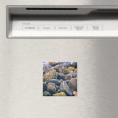 Farbige Steine Magnet (In Situ (Geschirrspüler))