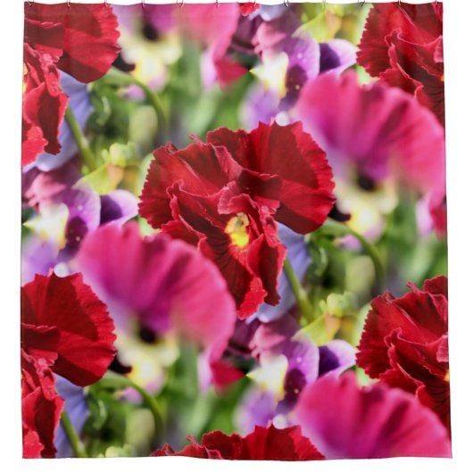 Farbige Stiefmütterchen Duschvorhang (Vorderseite)