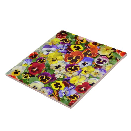 Farbige Stiefmütterchen Fliese (Seite)