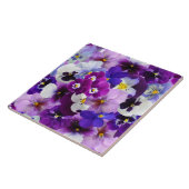 Farbige Stiefmütterchen, hübsche Blume, Fliese (Seite)