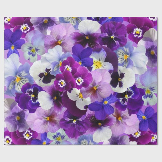 Farbige Stiefmütterchen, Hübsche Blume, Geschenkpapier (Flach)