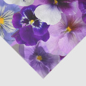 Farbige Stiefmütterchen, Hübsche Blume, Seidenpapier (Detail)