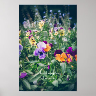Farbige Stiefmütterchen in einem sommerlichen Land Poster
