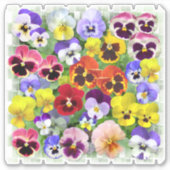 Farbige Stiefmütterchen, kundenspezifisch geschnit Aufkleber (Vorderseite)