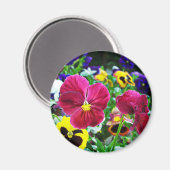 Farbige Stiefmütterchen Magnet (Vorderseite/Rückseite)