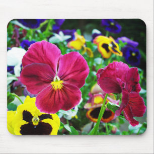 Farbige Stiefmütterchen Mousepad