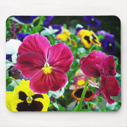 Farbige Stiefmütterchen Mousepad (Vorne)