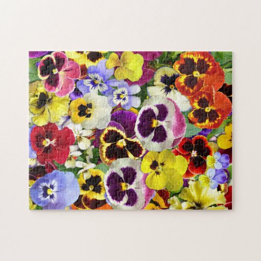 Farbige Stiefmütterchen Puzzle (Horizontal)