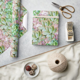 Farbige Sukkulente     Geschenkpapier