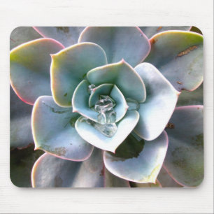 Farbige Sukkulenten-Mauspad #3 Mousepad