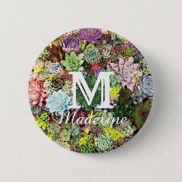 Farbige Sukkuline Button