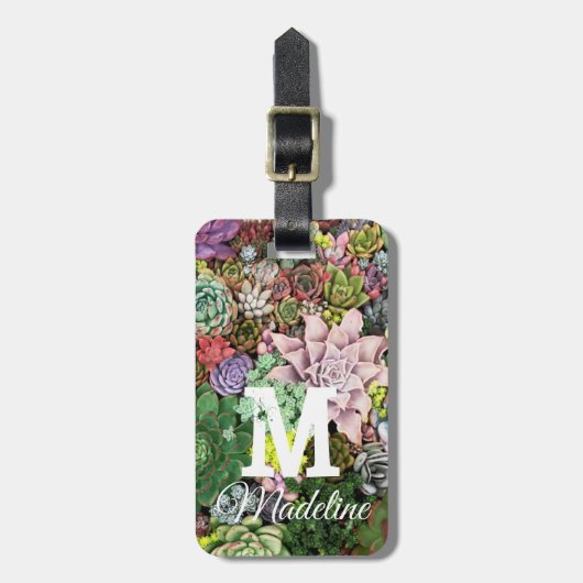 Farbige Sukkuline Gepäckanhänger (Vorderseite vertikal)