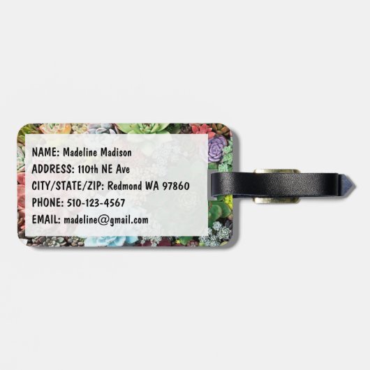 Farbige Sukkuline Gepäckanhänger (Rückseite horizontal)