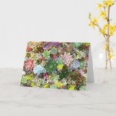 Farbige Sukkuline Karte (Gelbe Blume)